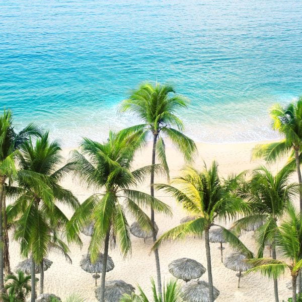Acapulco Fragrance Oil - Image 3