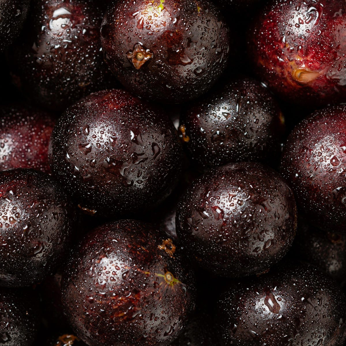 Amazonian Grape Fragrance Oil