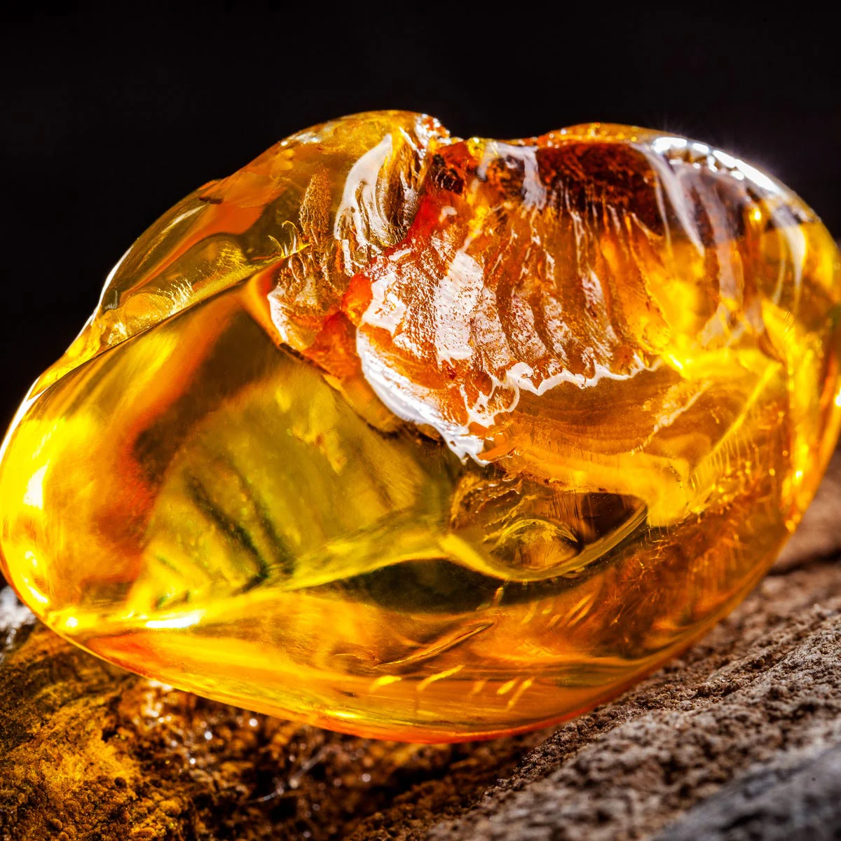 Ambered Sandalwood Fragrance Oil - Image 3