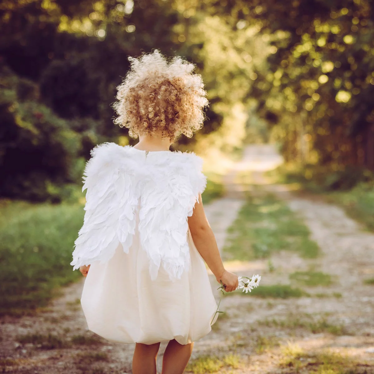 Angel Wings Fragrance Oil - Image 4