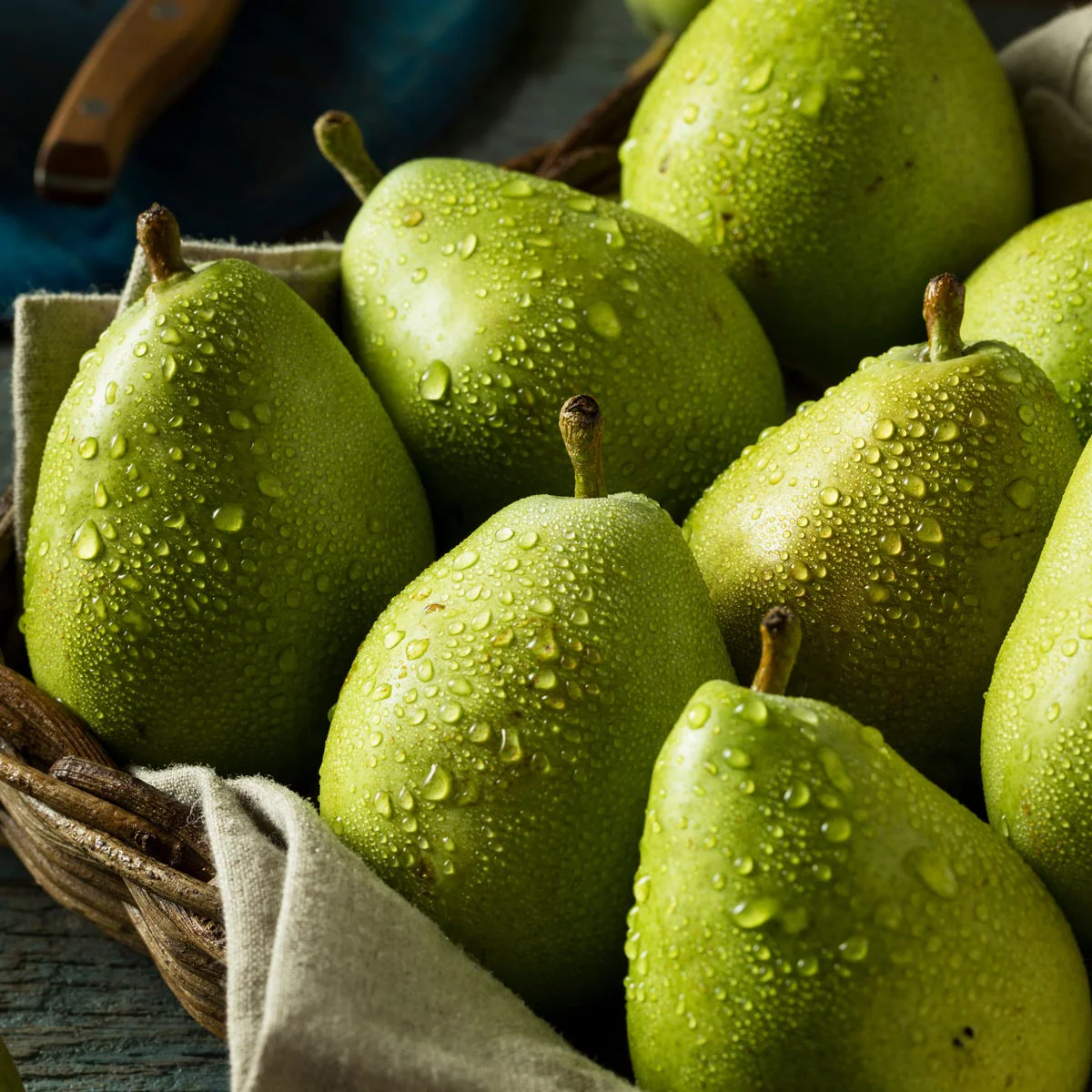Anjou Pear Fragrance Oil - Image 4