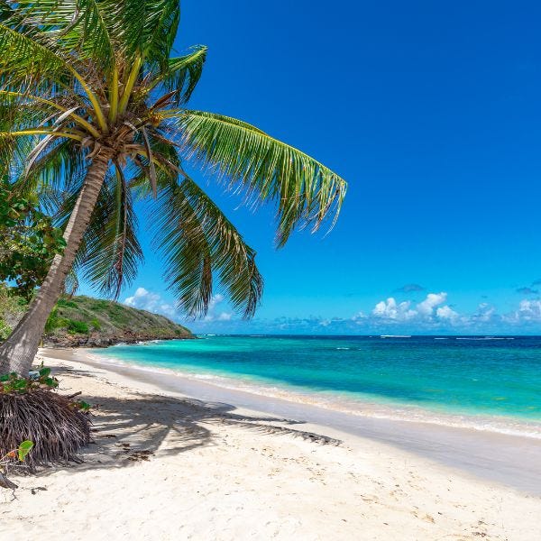 Aruba Fragrance Oil - Image 2