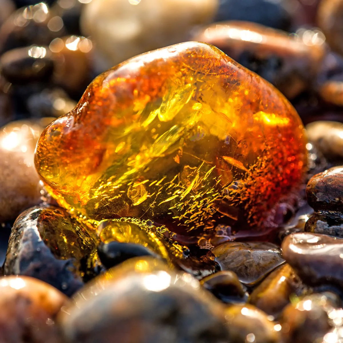 Baltic Amber Fragrance Oil