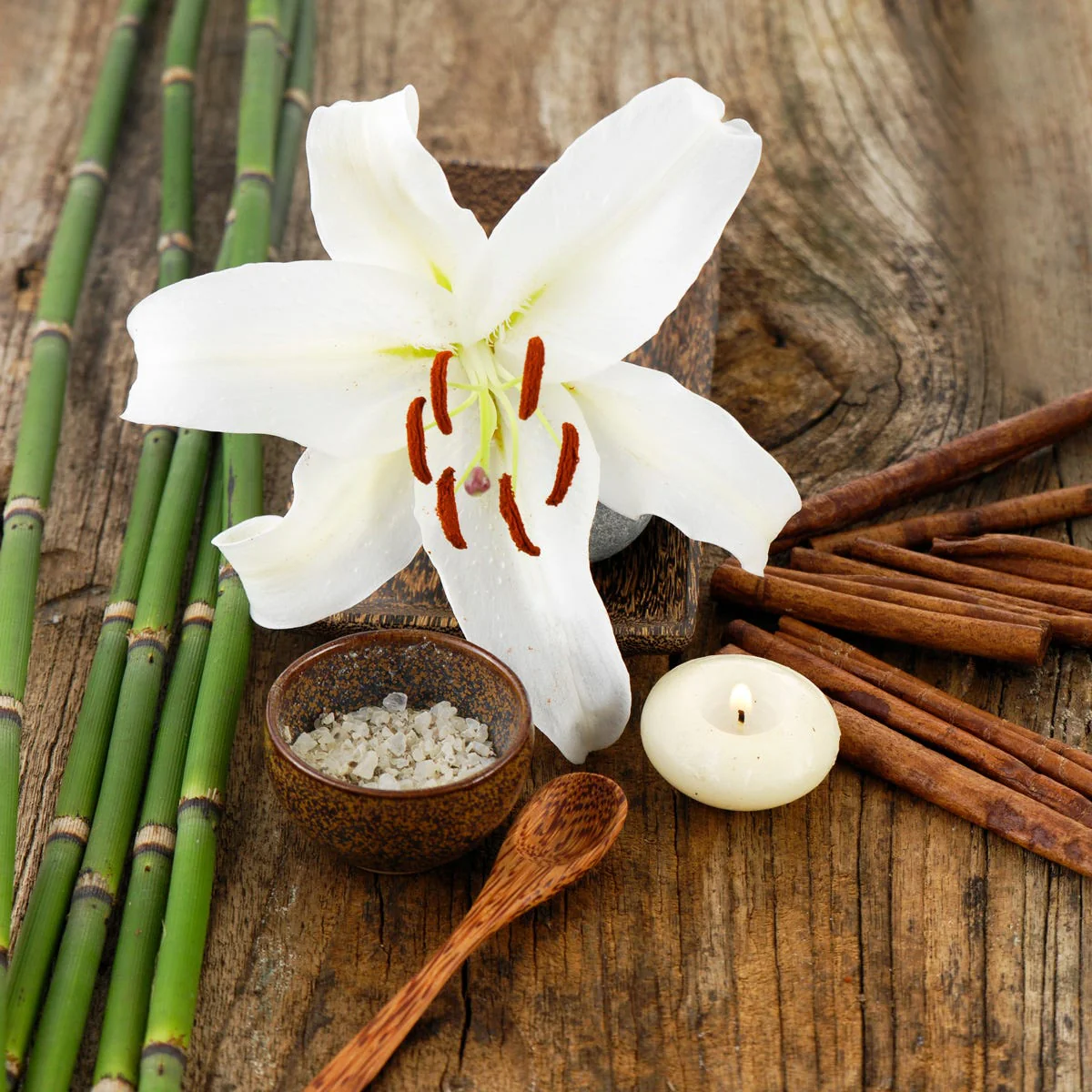 Bamboo and Musk Fragrance Oil - Image 2