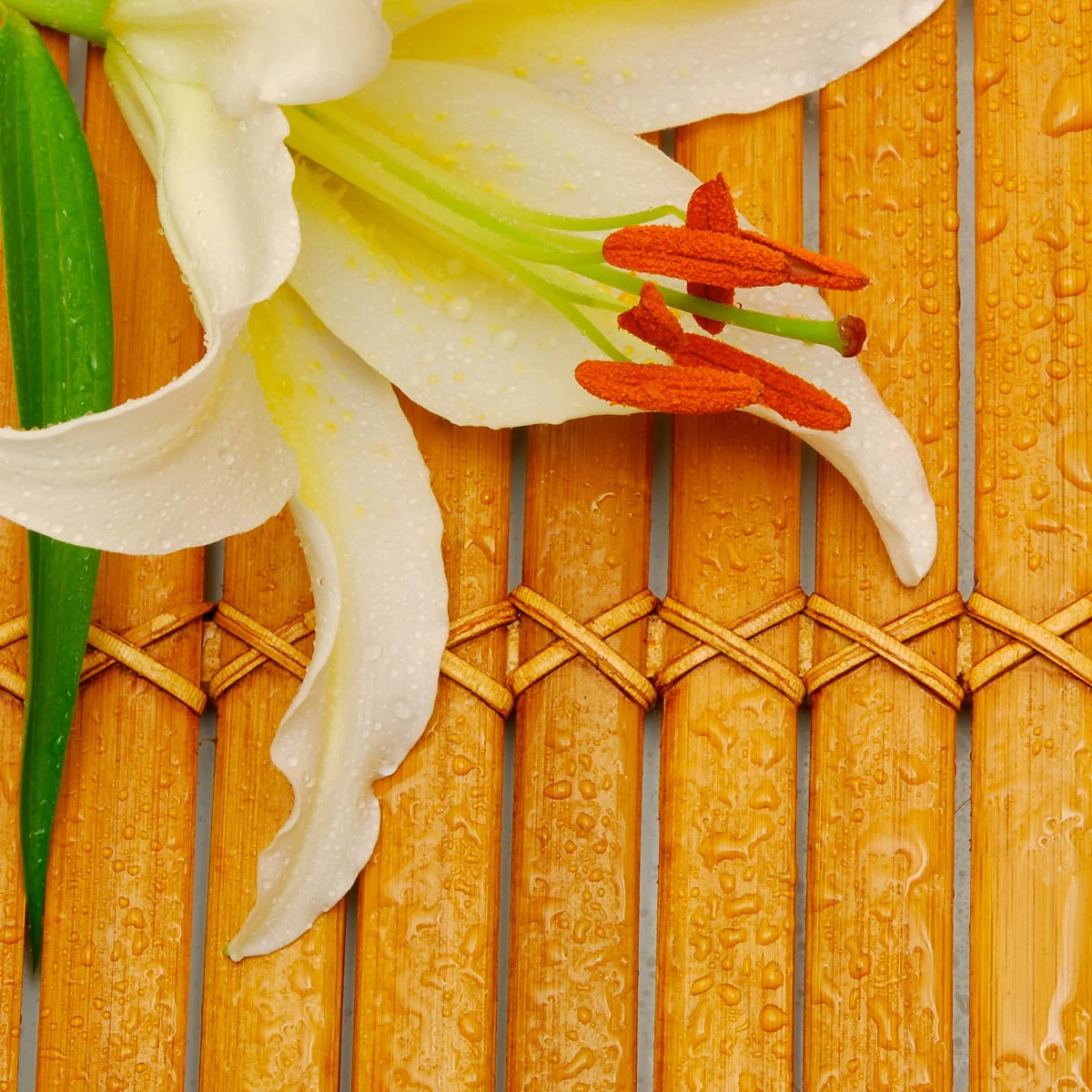 Bamboo & White Lily Fragrance Oil - Image 3