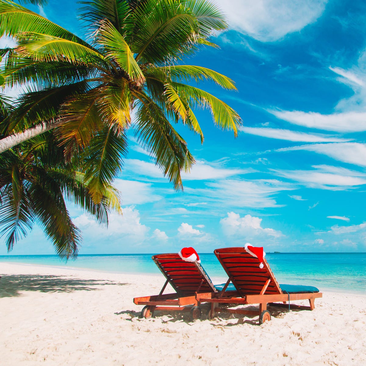 Beach Side Christmas Fragrance Oil - Image 2