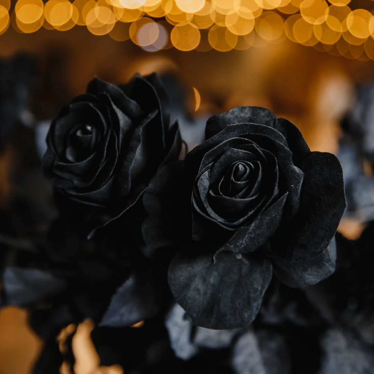 Black Rose & Oud Fragrance Oil - Image 3