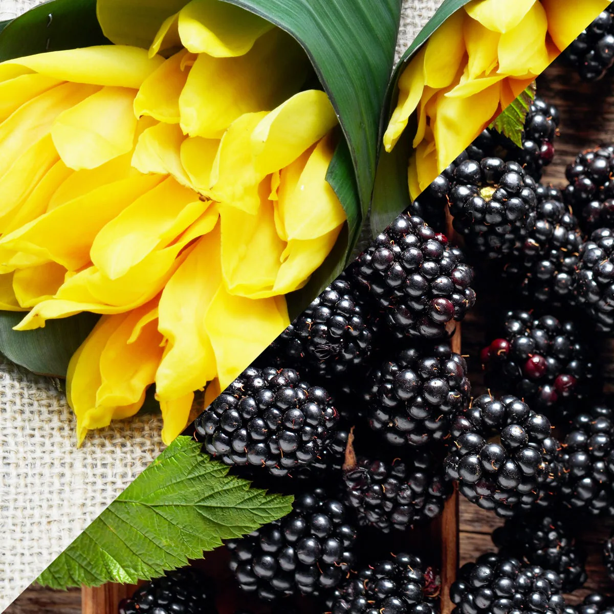 Blackberry & Ylang Ylang Fragrance Oil - Image 3