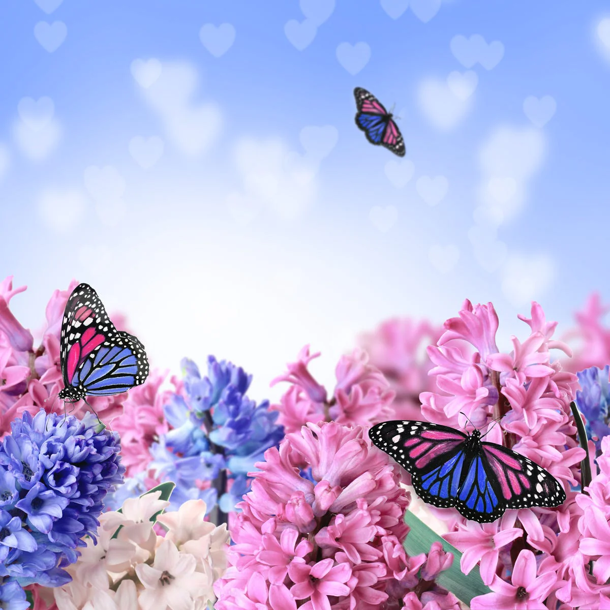 Butterfly Kisses Fragrance Oil - Image 2