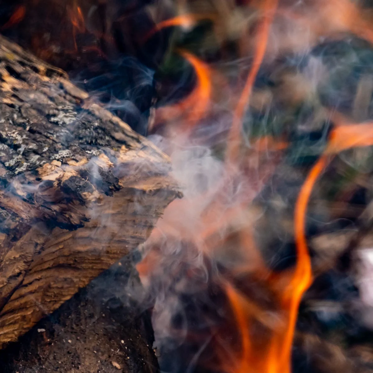 Campfire Smoke Fragrance Oil - Image 4