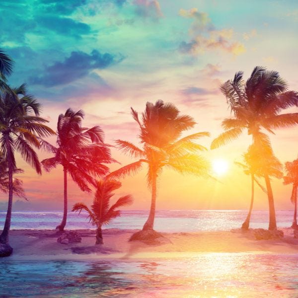 Caribbean Fragrance Oil - Image 2