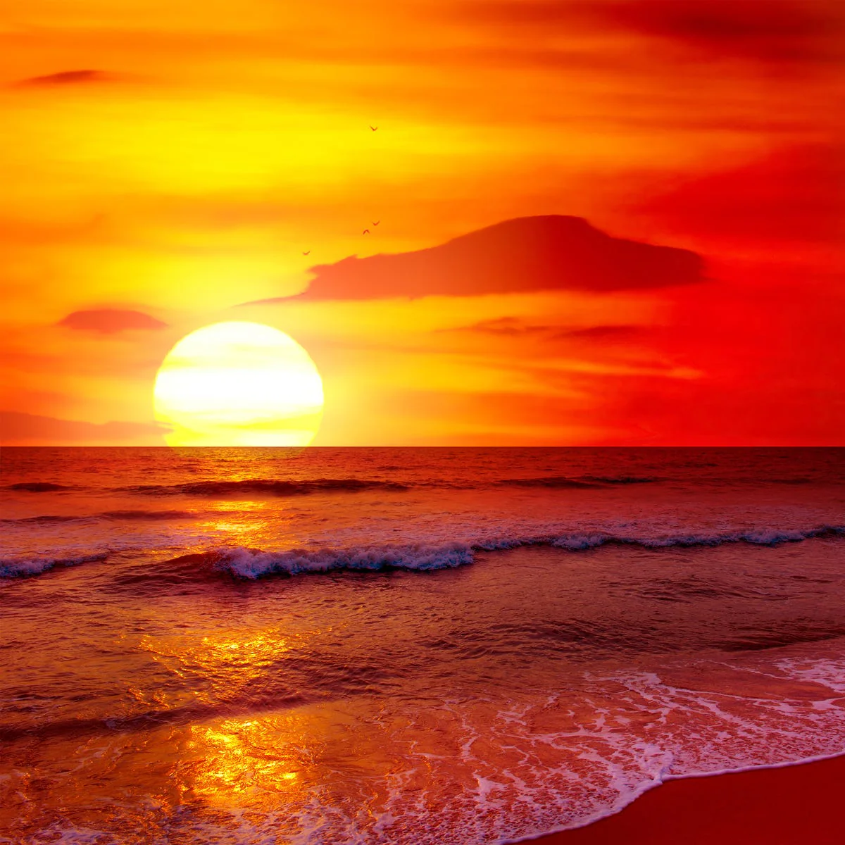 Citrine Sky Fragrance Oil - Image 4