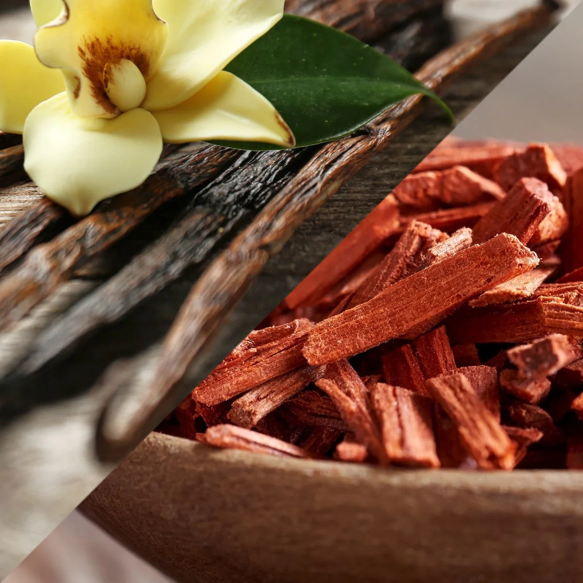 Double Vanilla & Sandalwood Fragrance Oil