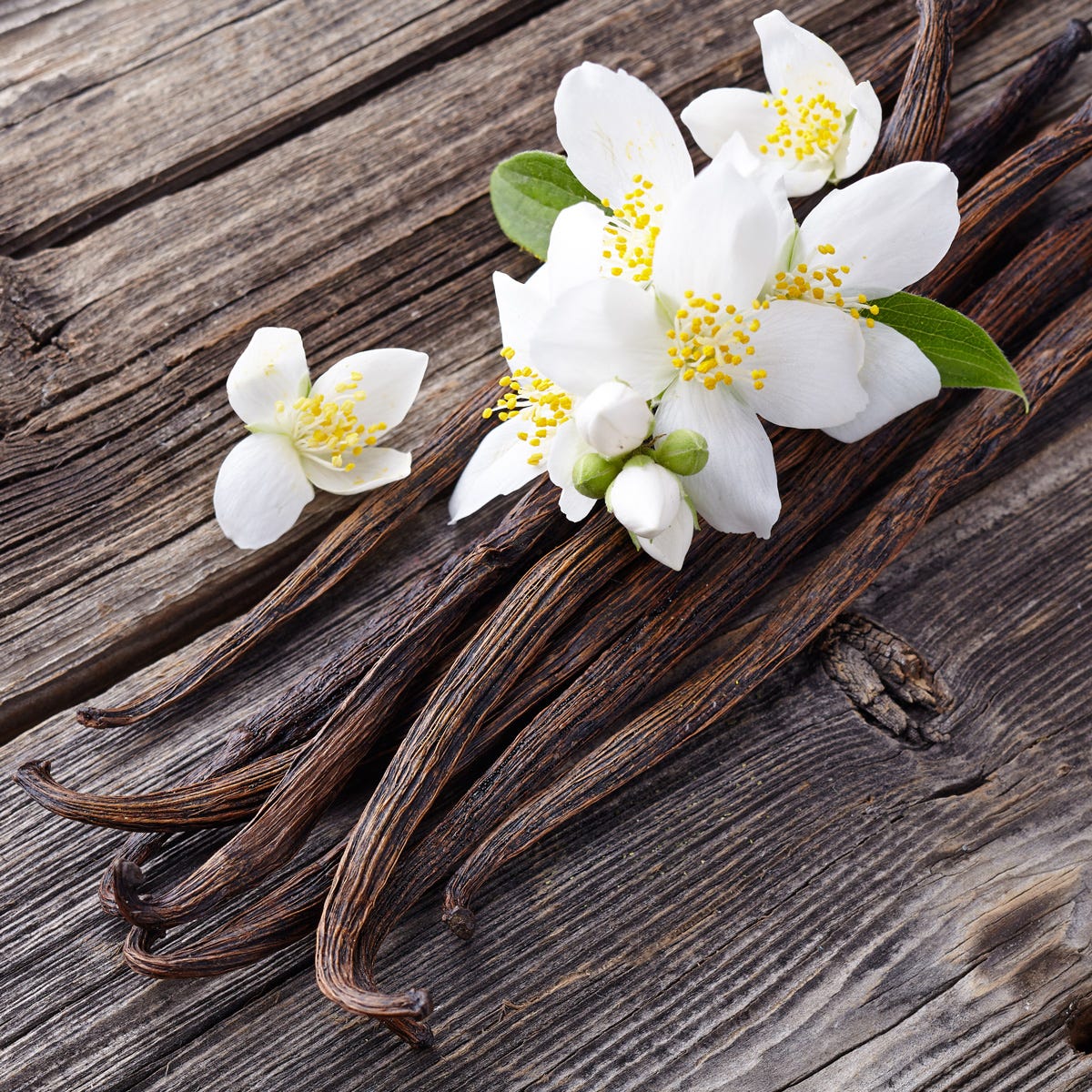 Flower Type Vanilla Cashmere Fragrance Oil