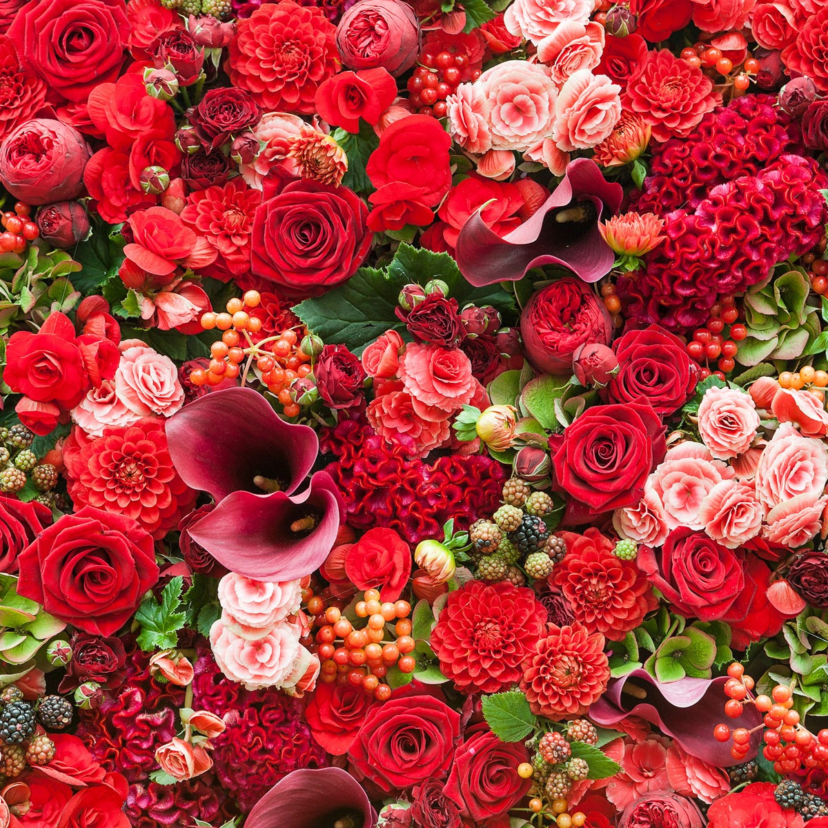 Freesia & Summer Berries Fragrance Oil - Image 3