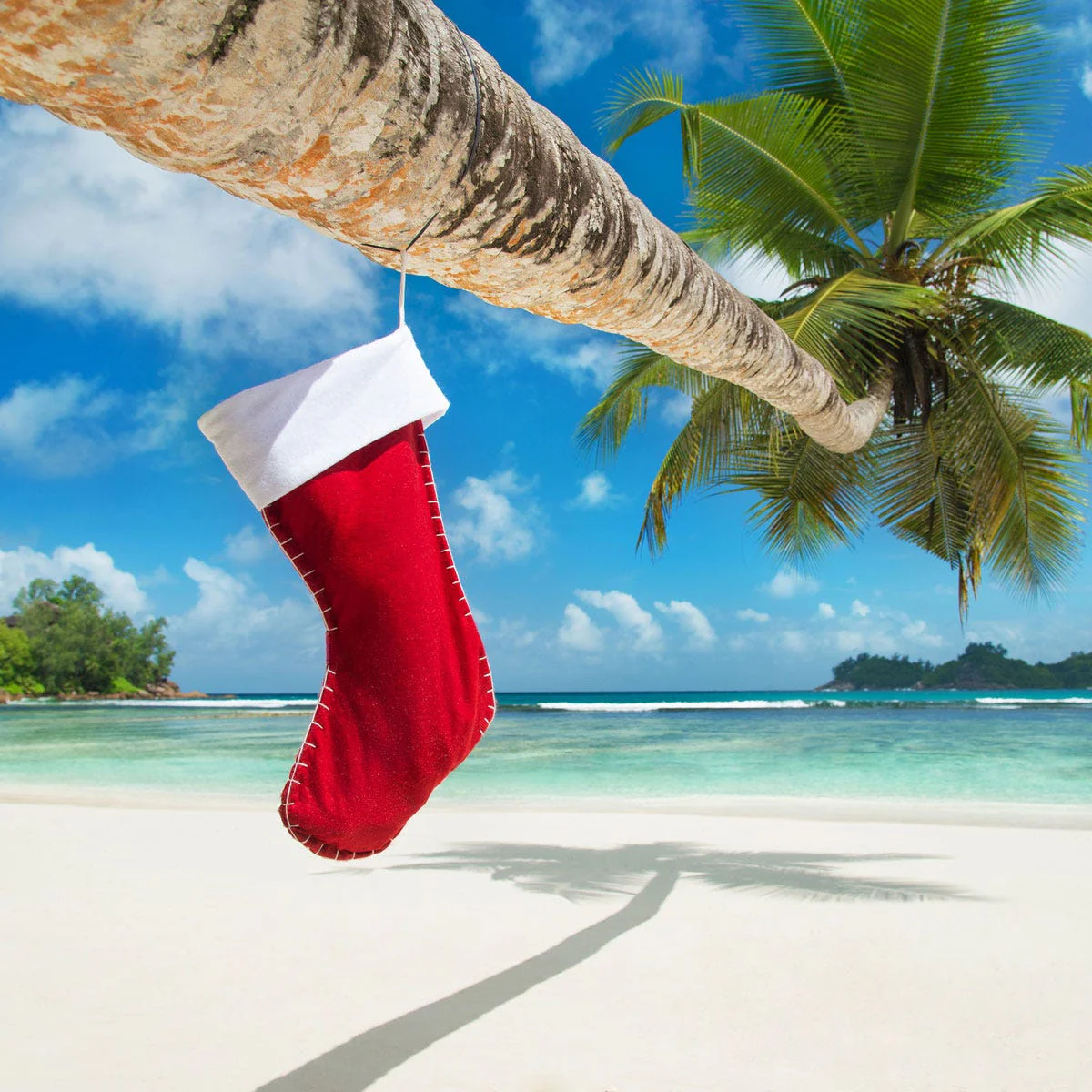 Island Christmas Fragrance Oil - Image 4