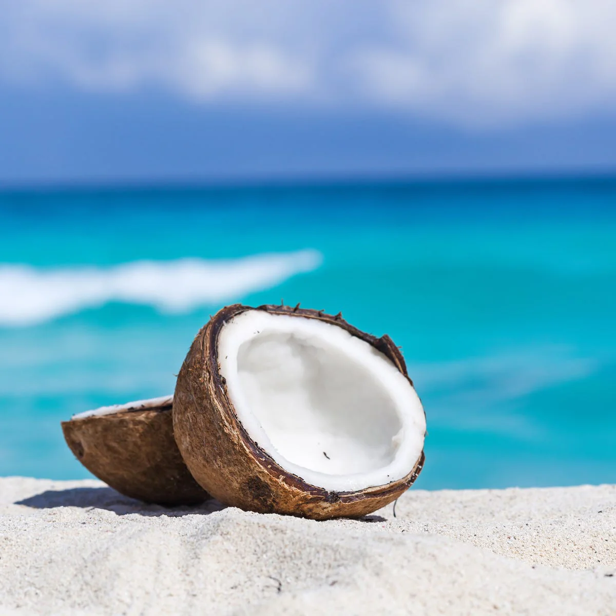 Island Coconut Fragrance Oil - Image 3