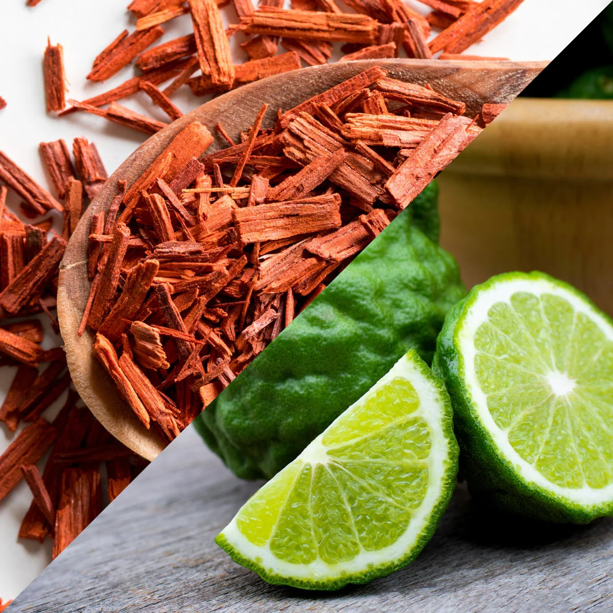Kaffir Lime & Sandalwood Fragrance Oil - Image 3