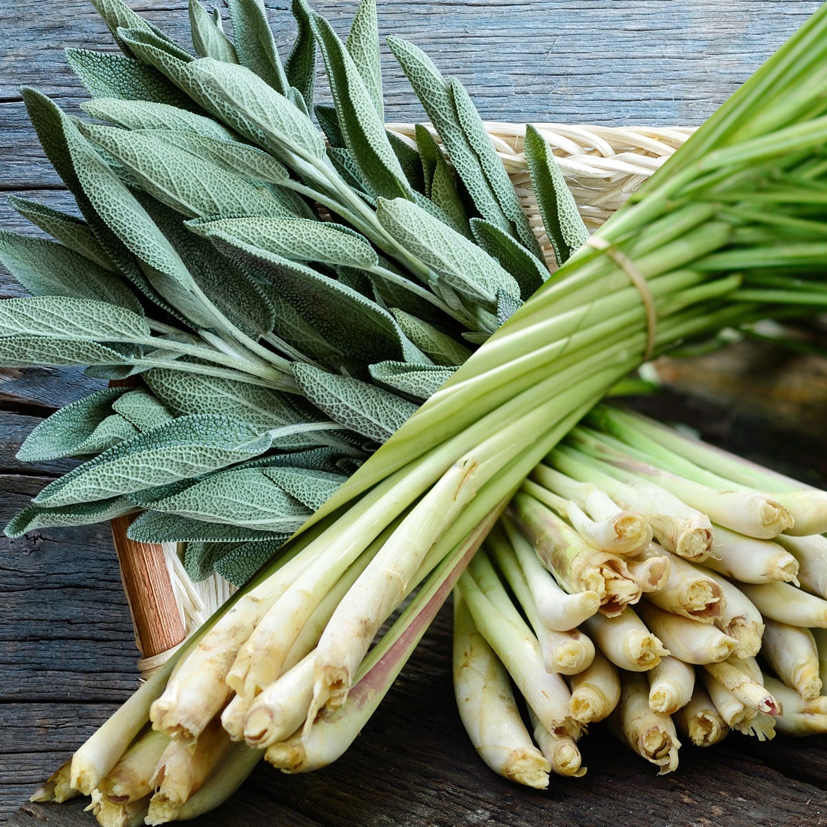 Lemongrass and Sage Fragrance Oil