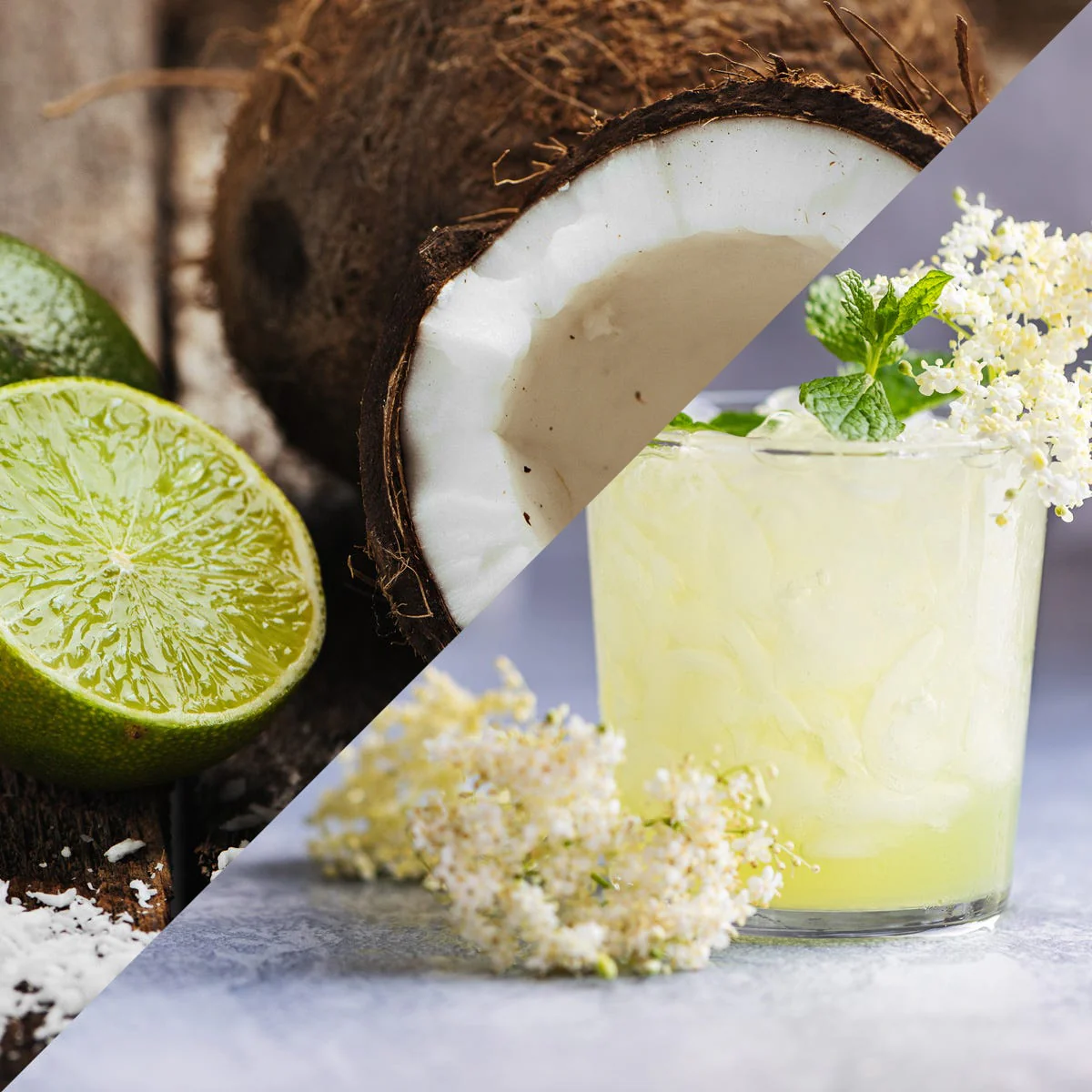 Lime, Coconut & Elderflower Fragrance Oil - Image 2
