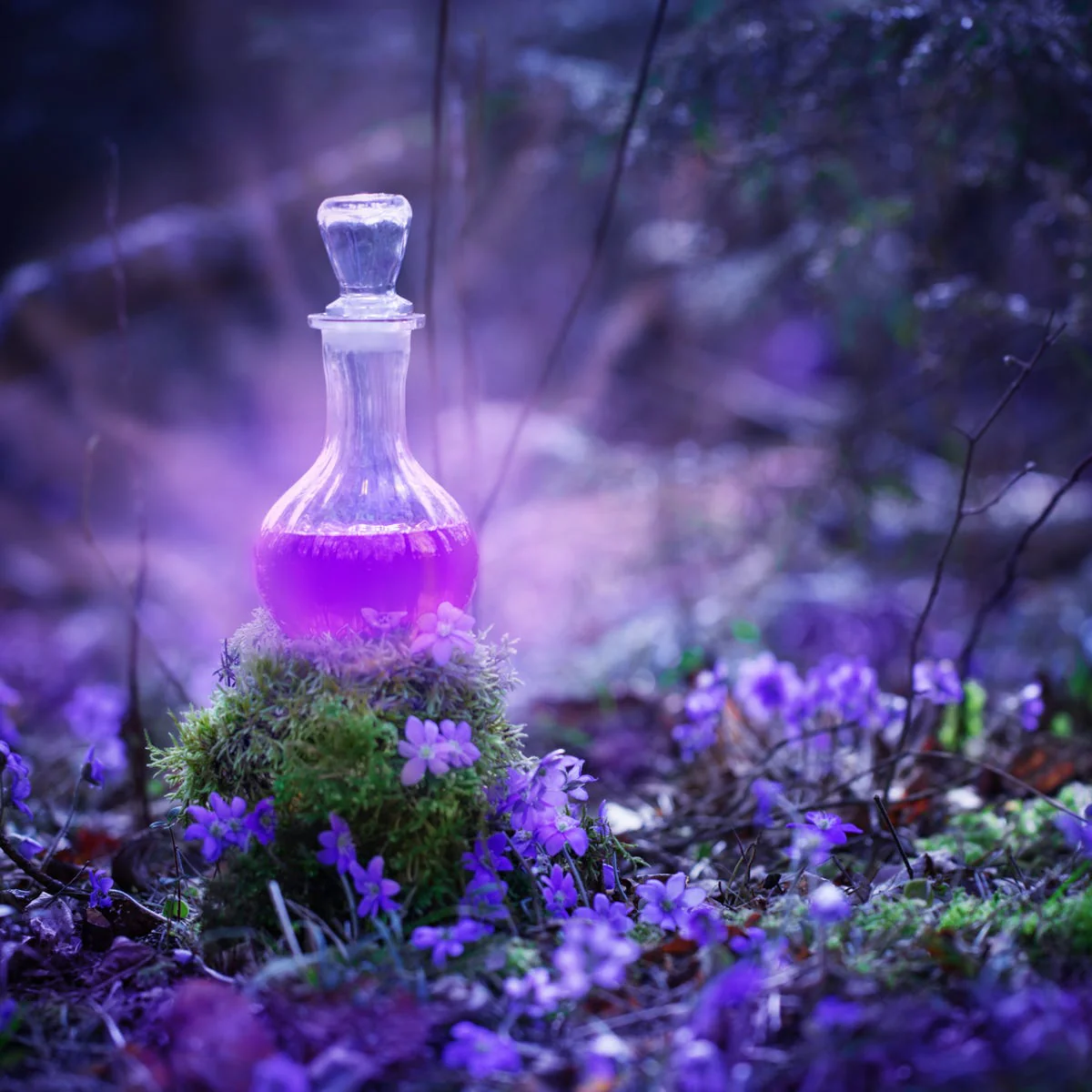 Love Secrets Fragrance Oil - Image 2