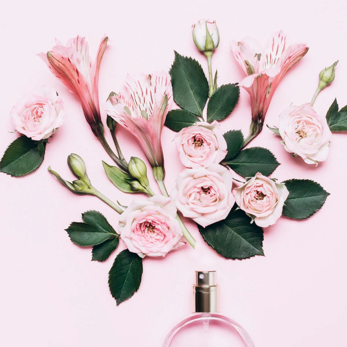 Narcissist Fragrance Oil