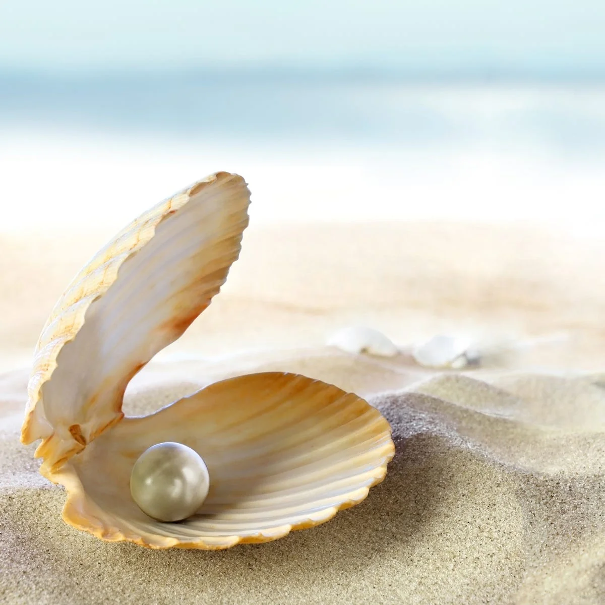 Ocean Pearl Fragrance Oil - Image 3