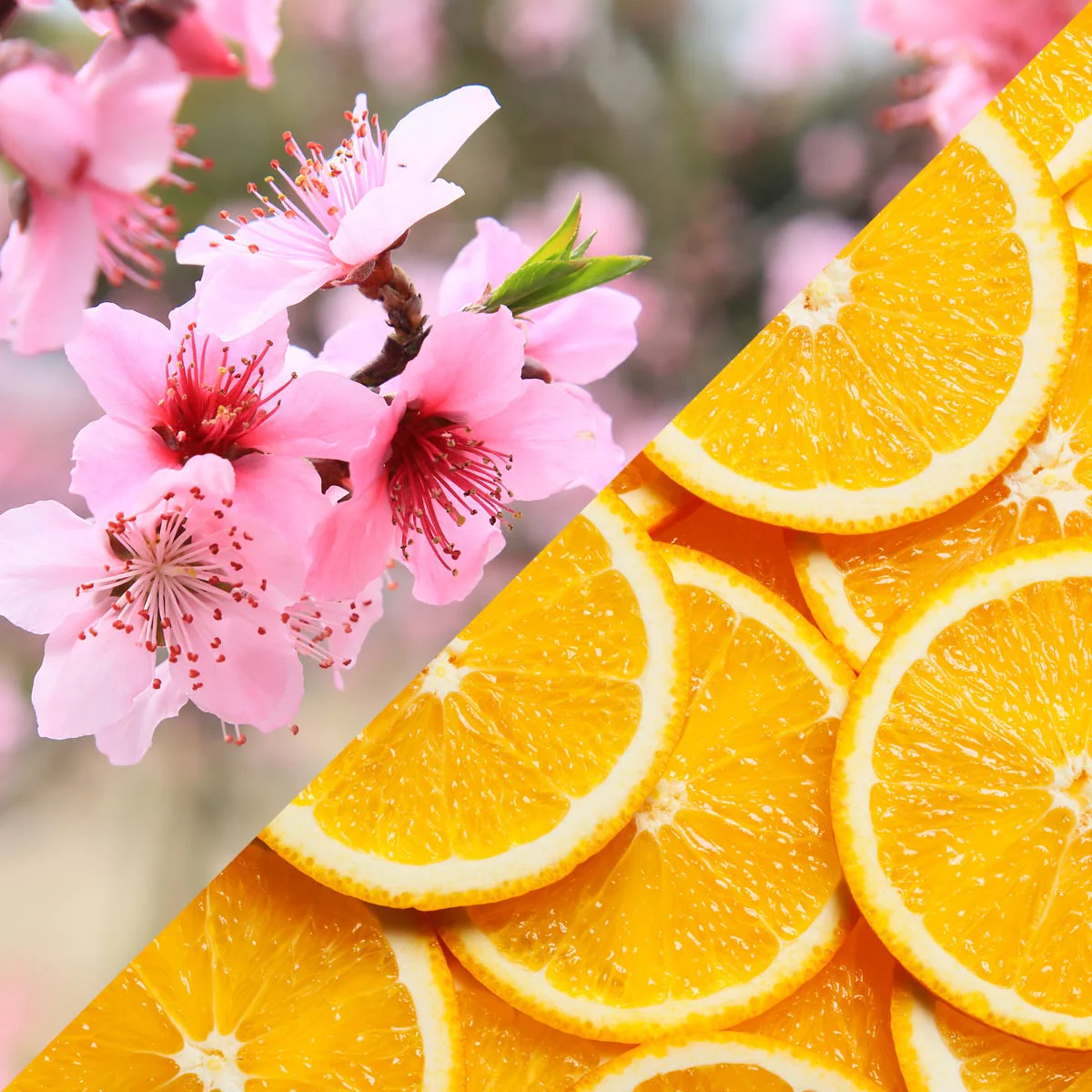 Orange & Peach Blossom Fragrance Oil - Image 3