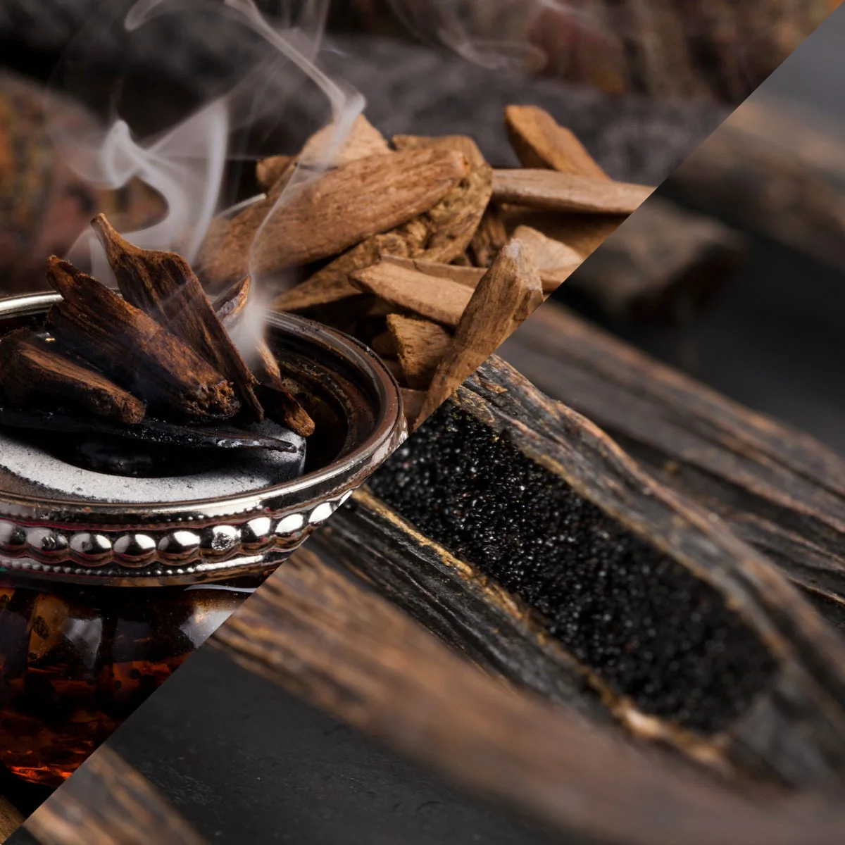 Oud Wood & Dark Vanilla Fragrance Oil - Image 5