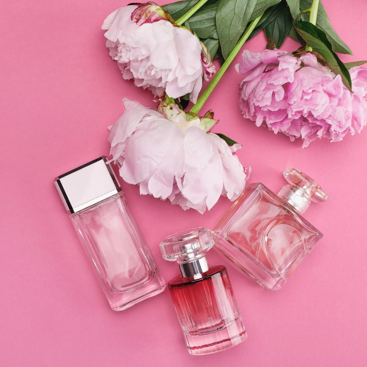 Peony & Blush Suede Fragrance Oil - Image 4