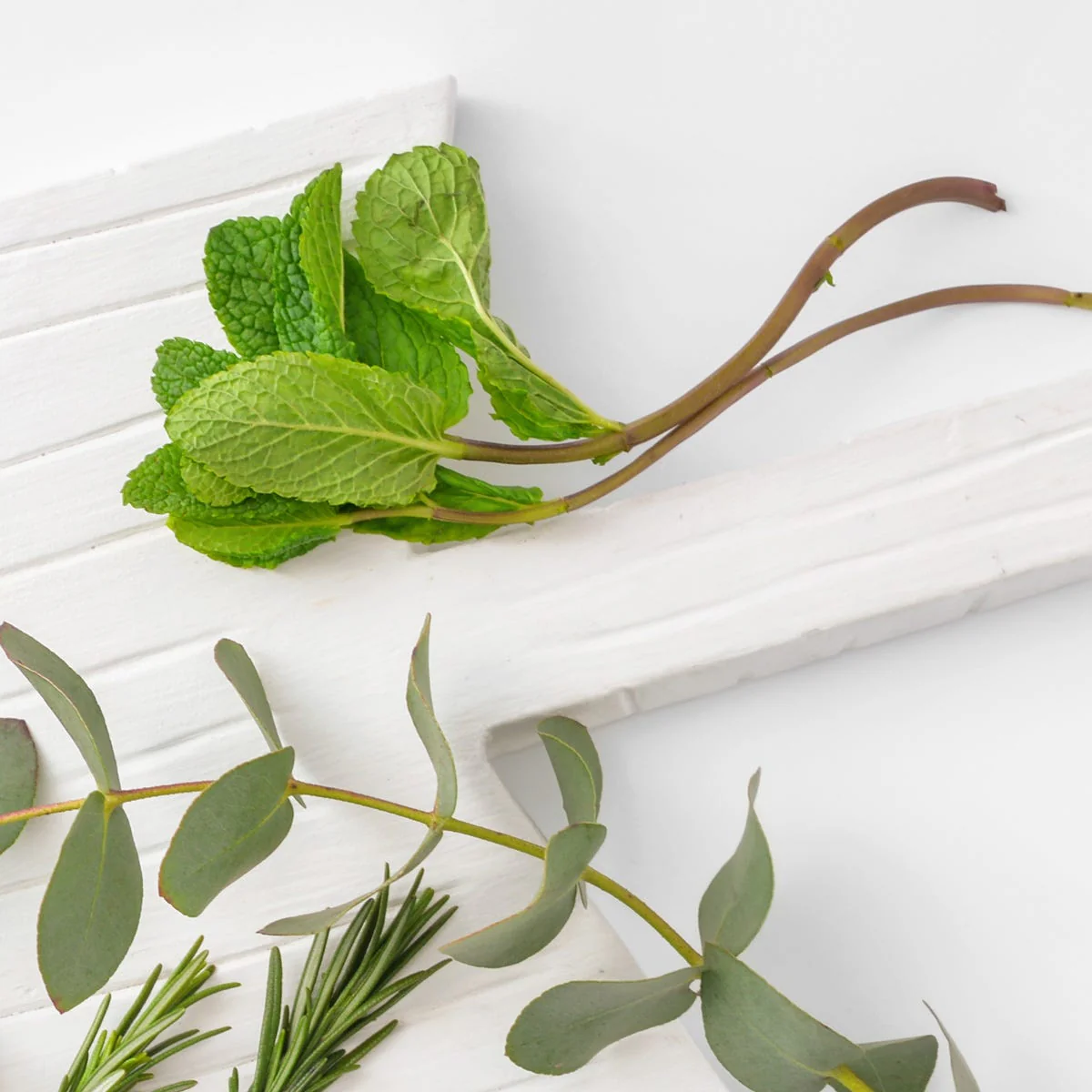 Peppermint and Eucalyptus Fragrance Oil - Image 5