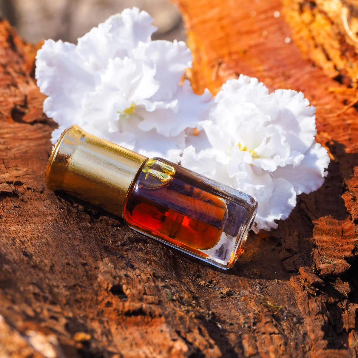 Sandalwood No. 6 Fragrance Oil - Image 3