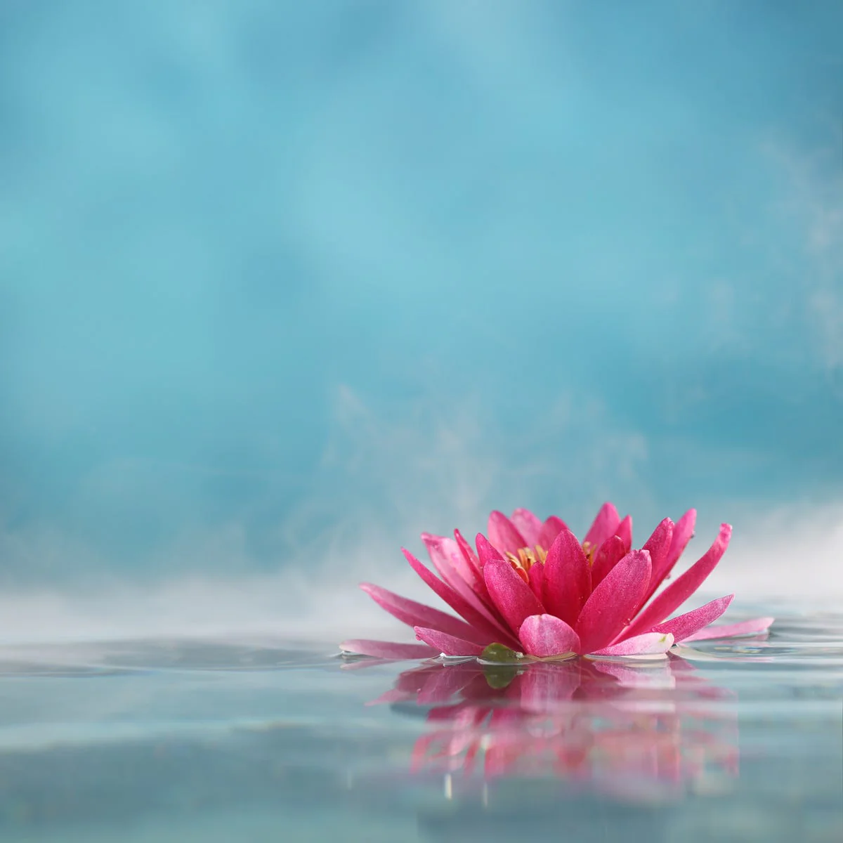 Sea Mist & Waterlily Type Fragrance Oil - Image 4