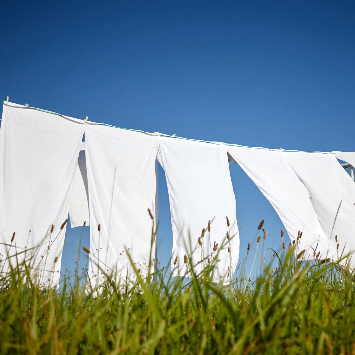 Sun Washed Linen Fragrance Oil - Image 2