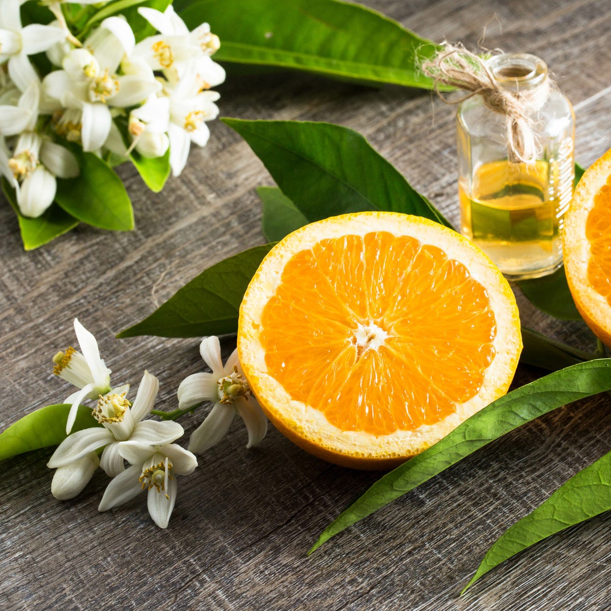 Sweet Neroli & Basil Fragrance Oil - Image 3
