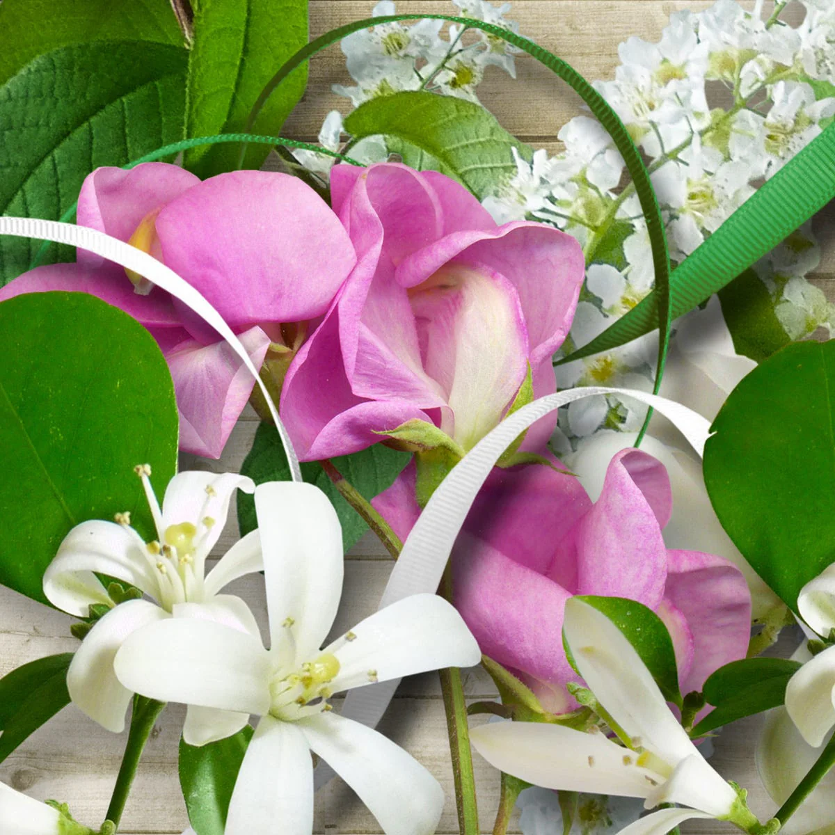 Sweet Pea and Jasmine Fragrance Oil
