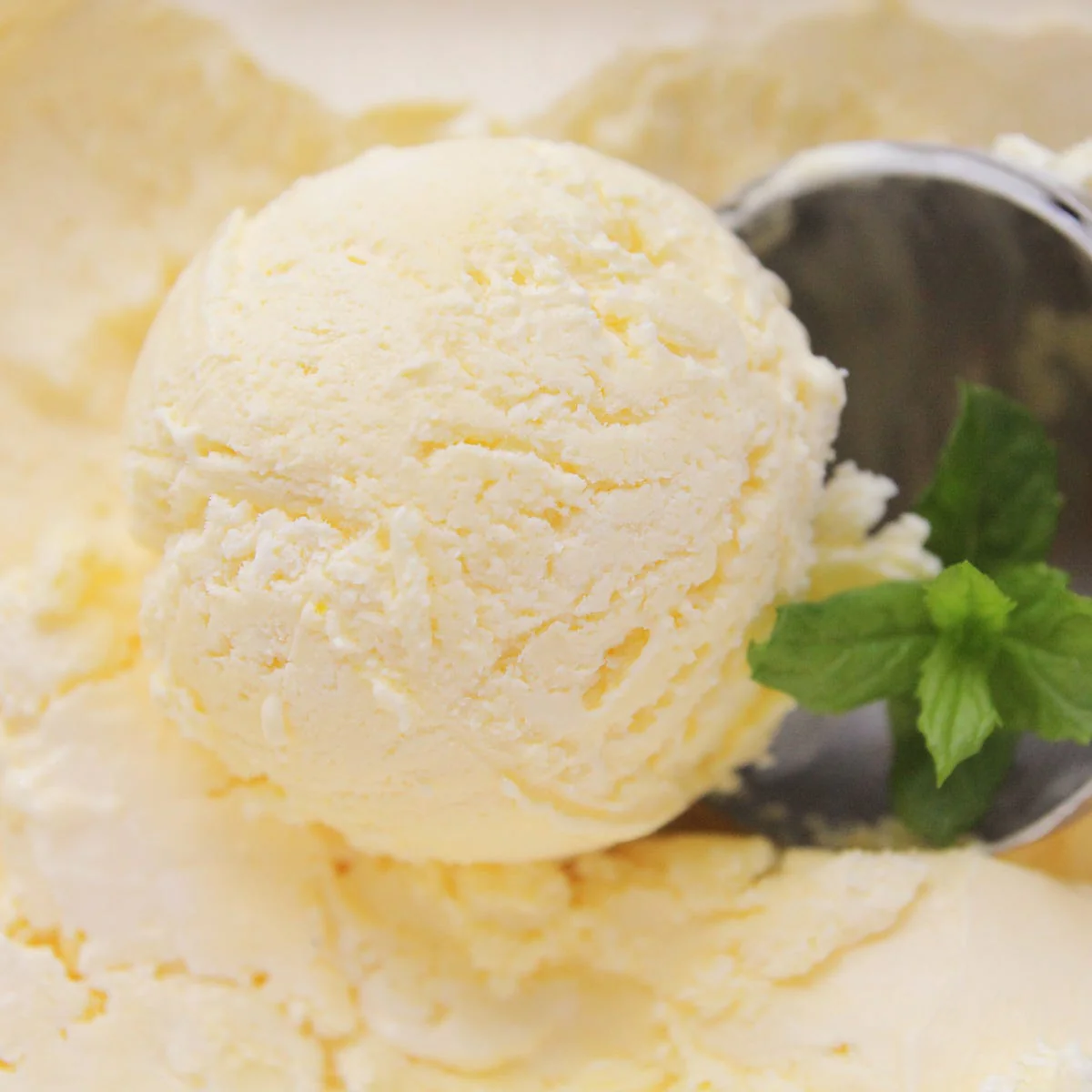 Sweet Vanilla Fragrance Oil