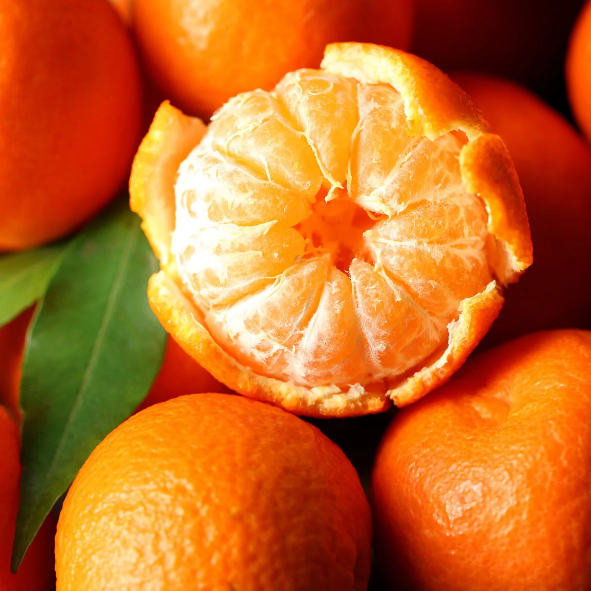 Tropical Tangerine Fragrance Oil - Image 2
