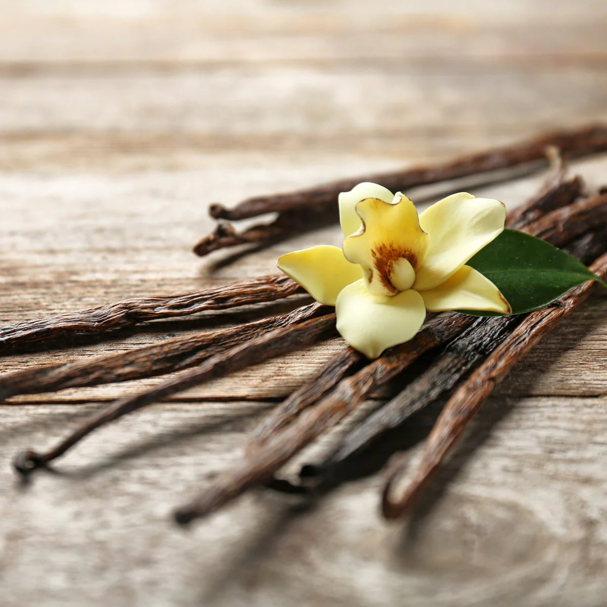 Vanilla Fragrance Oil - Image 3