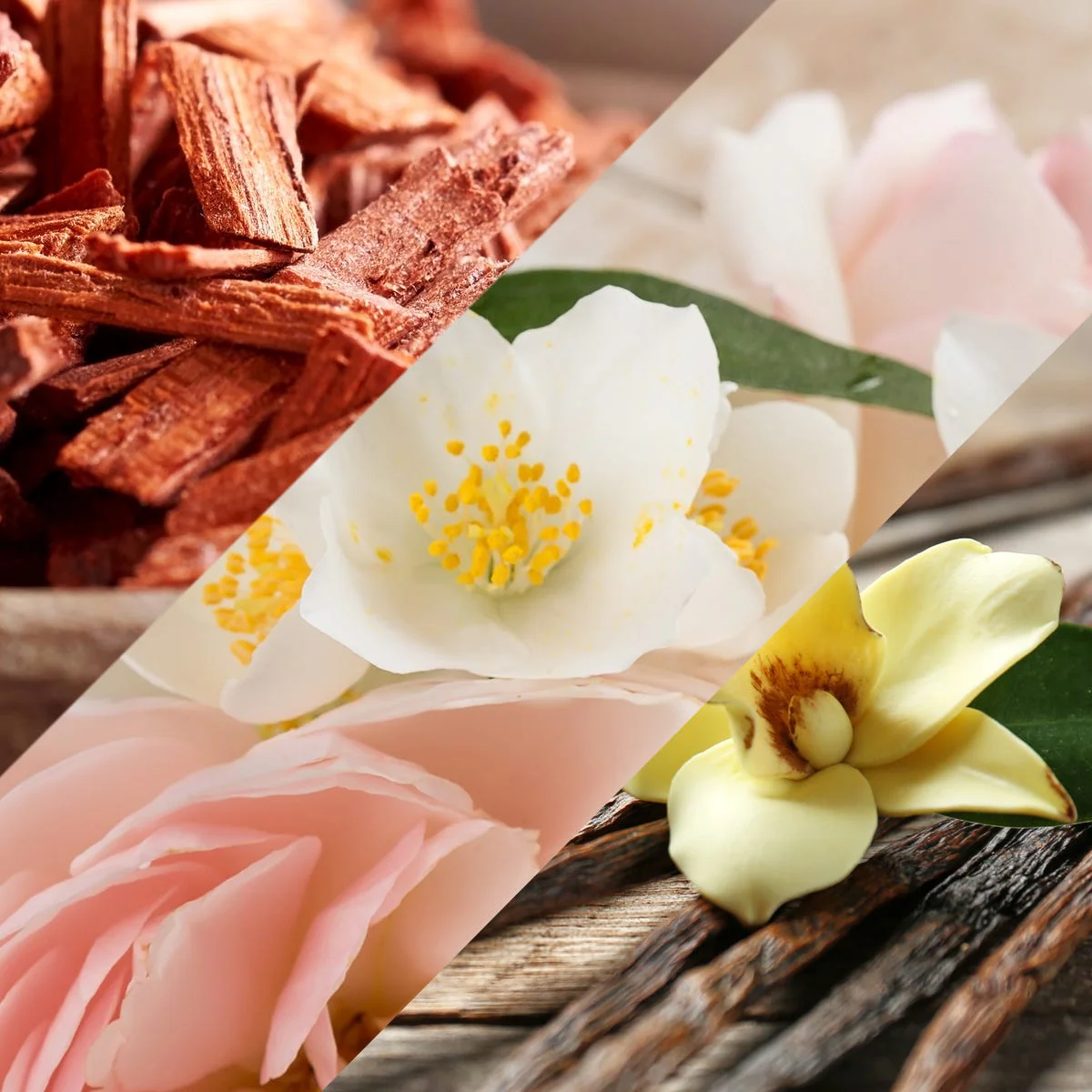 Vanilla Patchouli & Sandalwood Fragrance Oil - Image 2