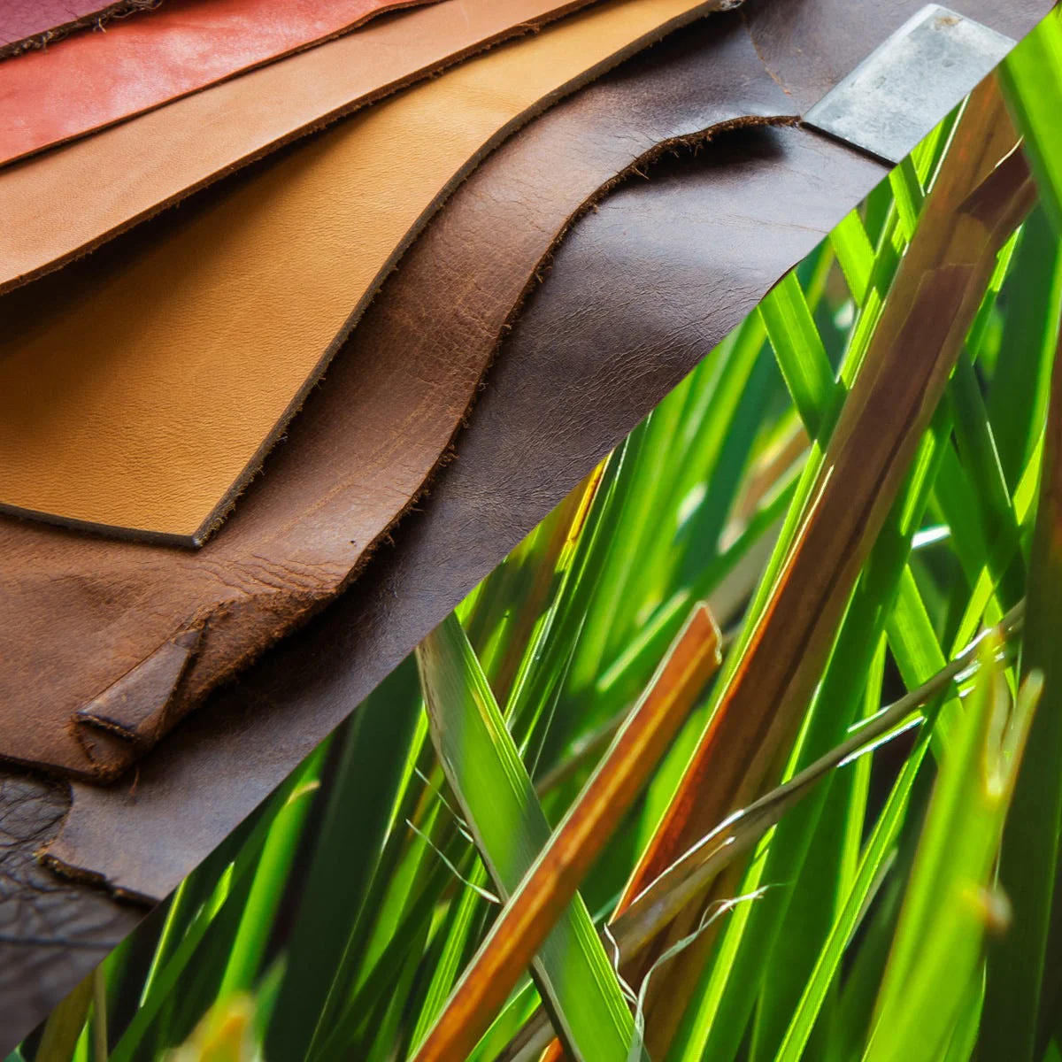 Vetiver Haitian & Leather Fragrance Oil - Image 3