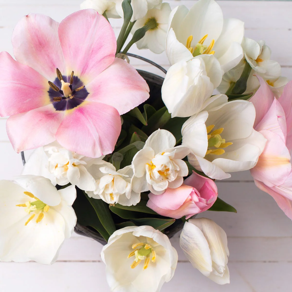 White Narcissus & Musk Fragrance Oil
