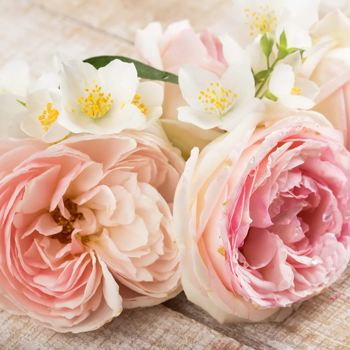White Patchouli Fragrance Oil - Image 3
